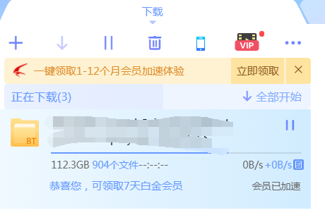 开了白金会员，为什么下载会每隔一段时间自动暂停？会员没用？