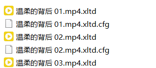 新版本云盘下载完成后，文件实际上是非完整状态