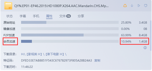 开会员的下载，失去了离线下载功能的迅雷，呵呵呵！！！
