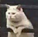 电脑迅雷下载的种子重启后没了怎么回事？