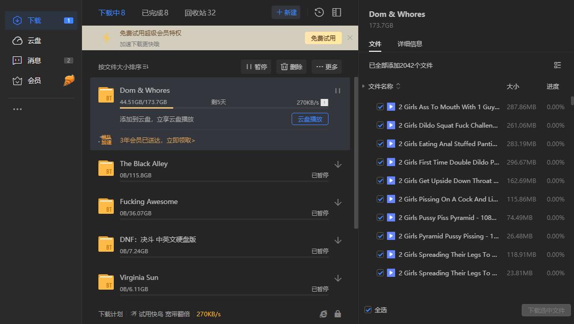 这个版本迅雷真是牛批！