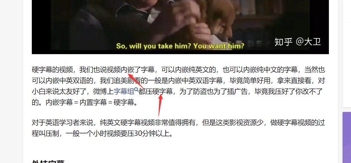 迅雷网盘的播放组件对软字幕标注错了吧