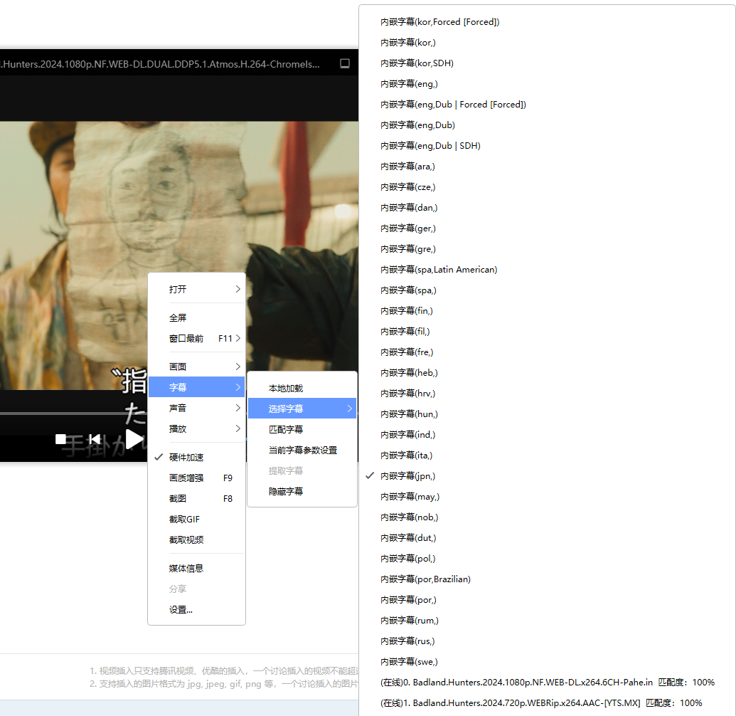 迅雷引用对于内嵌字母无法全部识别的问题，