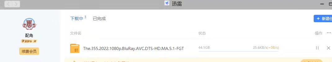 极空间NAS迅雷客户端会员下载不加速，对照电脑端下载很慢！