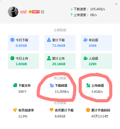 为什么找迅雷客服投诉开会员后仍然不加速下载，下载失败问题无果
