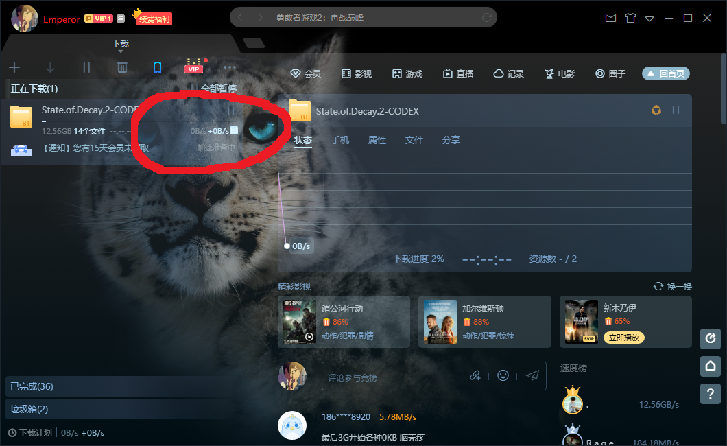 为什么开了会员反而速度变成0了?