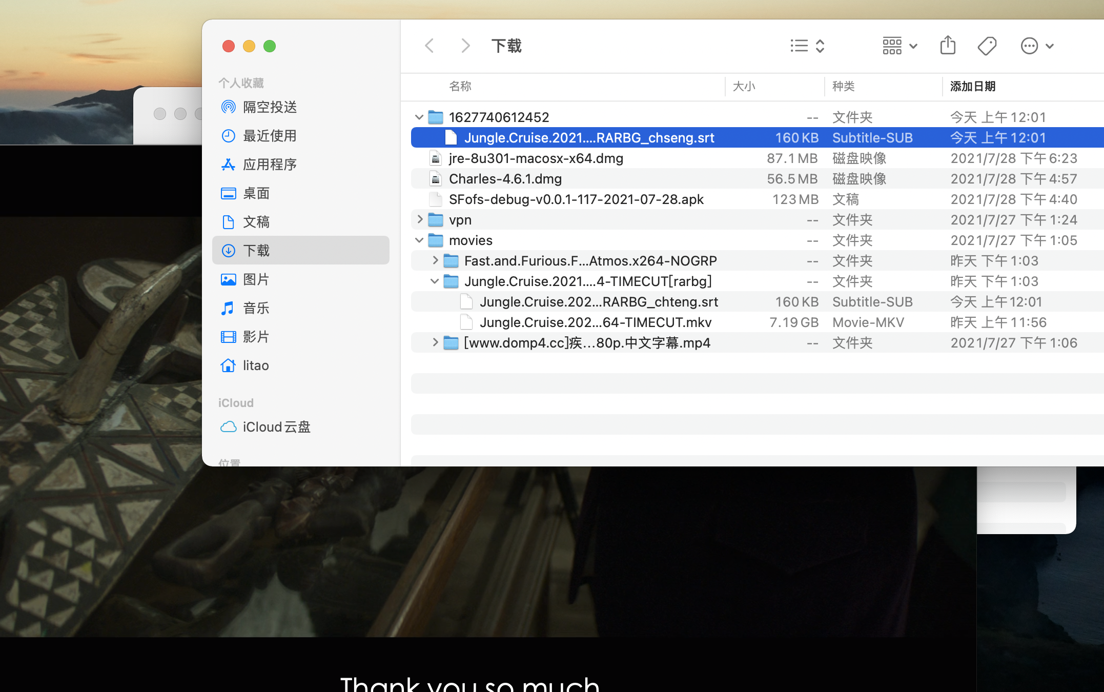添加srt格式的字幕没有反应，并没有加载字幕，是咋回事啊？？