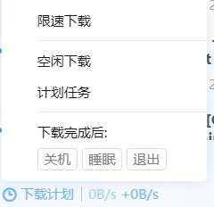 关于迅雷的“下载计划”