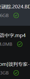 迅雷12