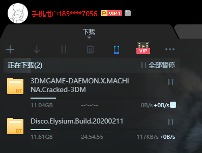 迅雷会员现在什么情况？下载速度一会儿就变成0了。