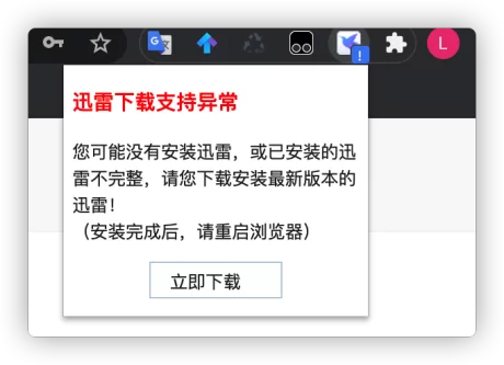 迅雷下载插件异常